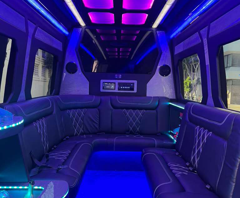 Mercedes Luxury Limo Van