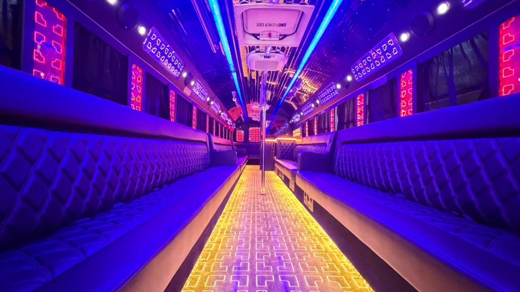 45 Passengers Party Bus